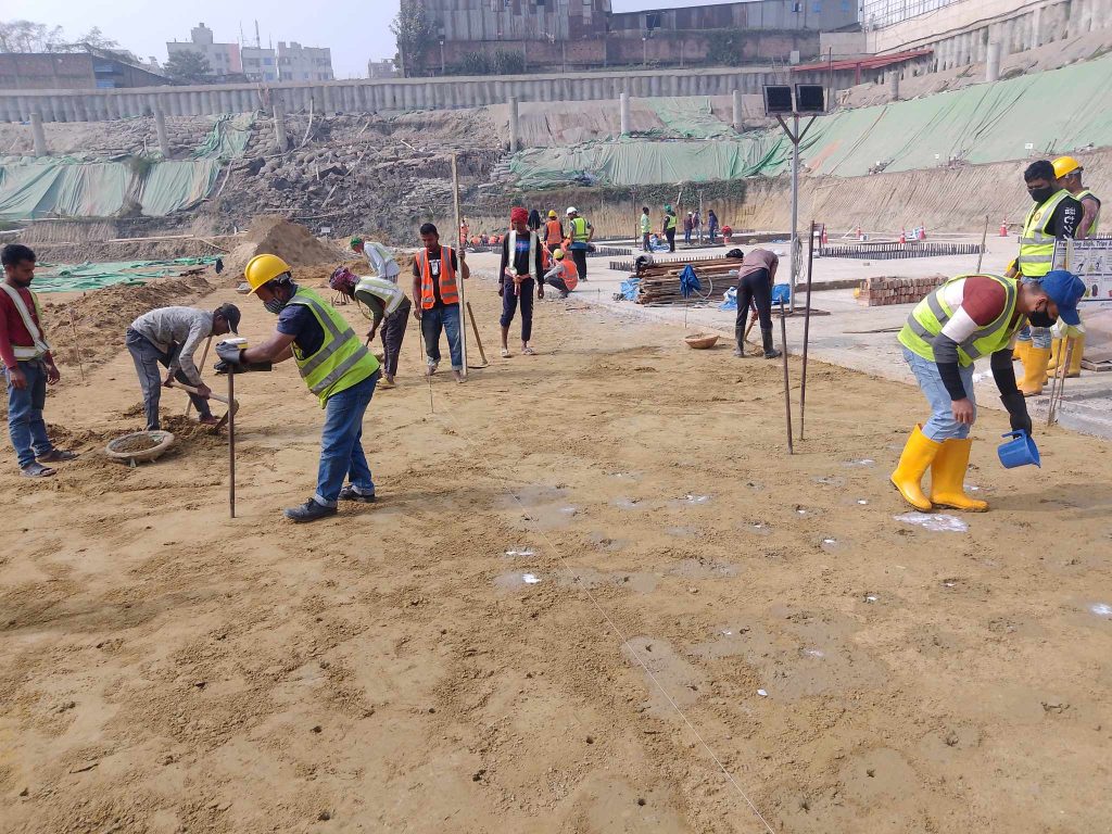 Termite Control in Bangladesh