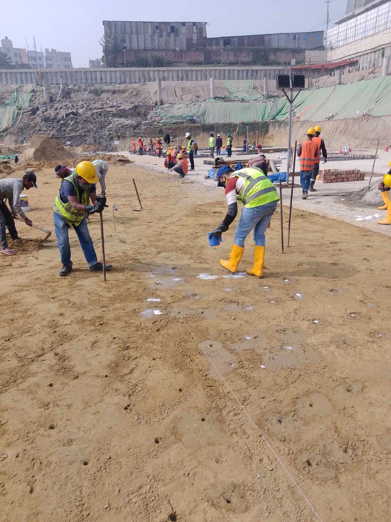 Termite Control in Bangladesh