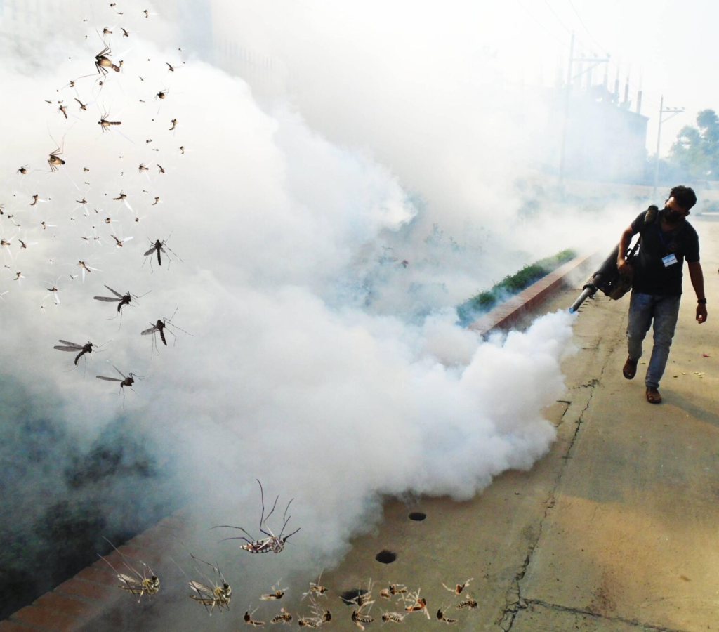 Mosquito Control in Bangladesh