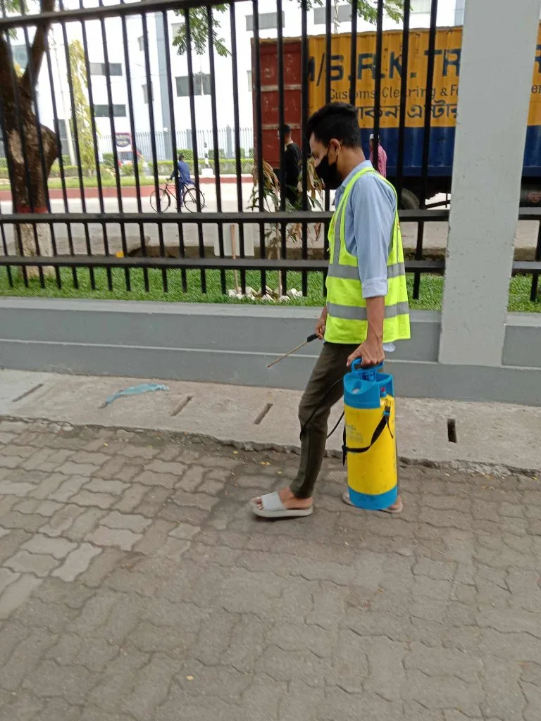 Pest Control in Mohammadpur