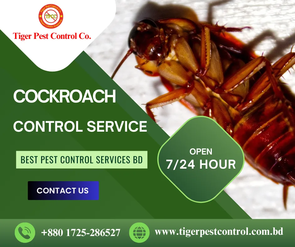 Pest Control in Savar