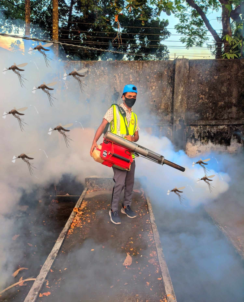 mosquito control services