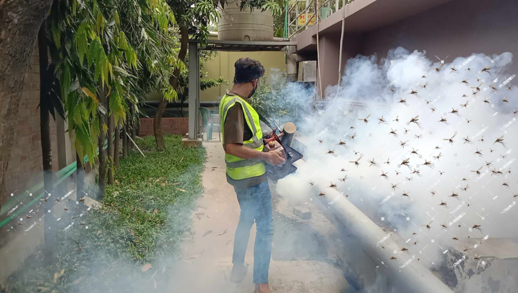 Mosquito Control in Bangladesh