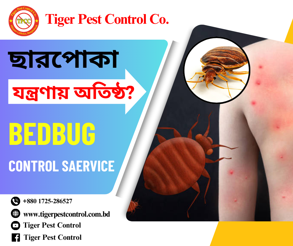 bedbug control in Bangladesh