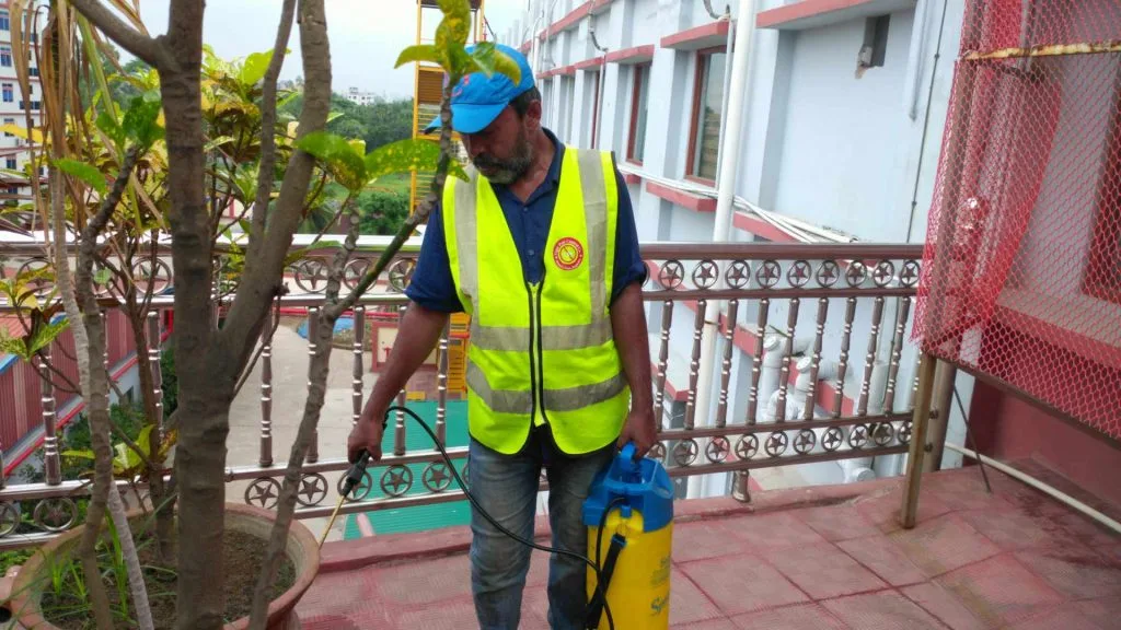 Pest Control Rajshahi