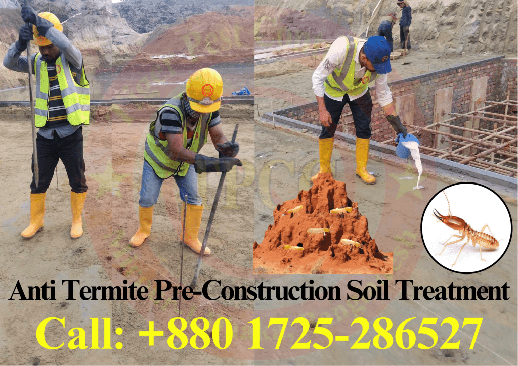 Termite Control in Bangladesh