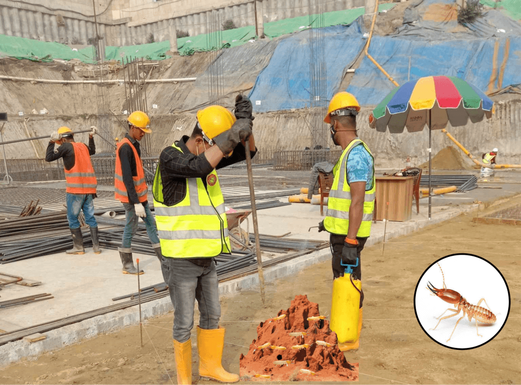 Termite Control in Bangladesh