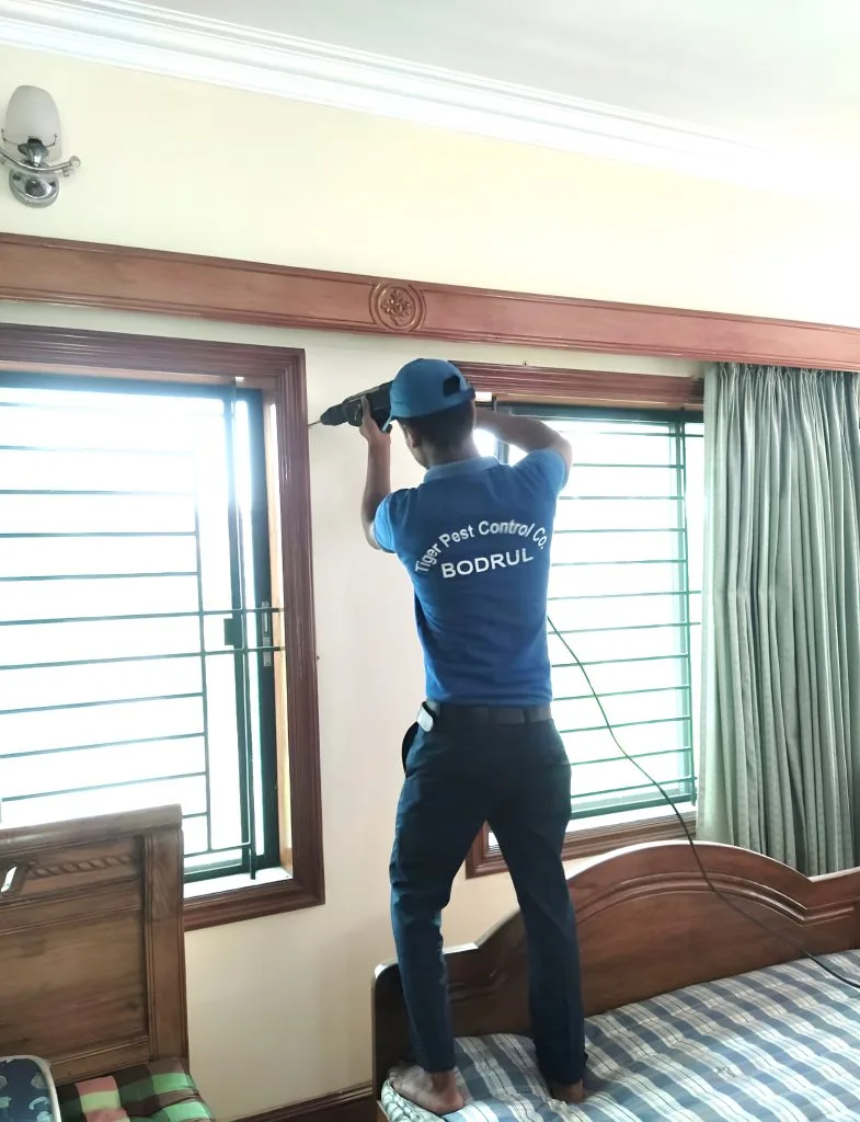 Termite Control in Bangladesh