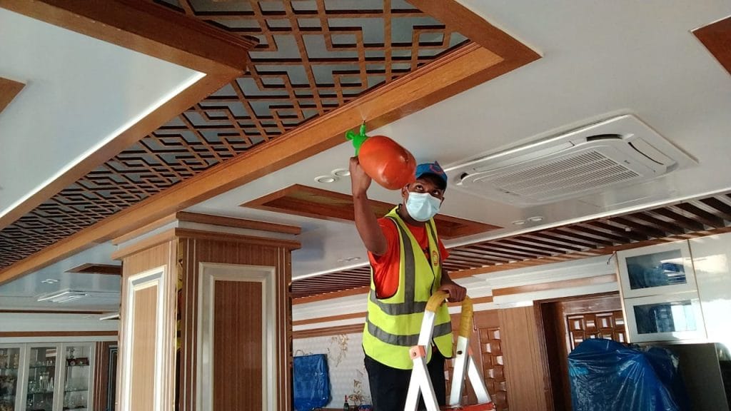 termite control in Bangladesh