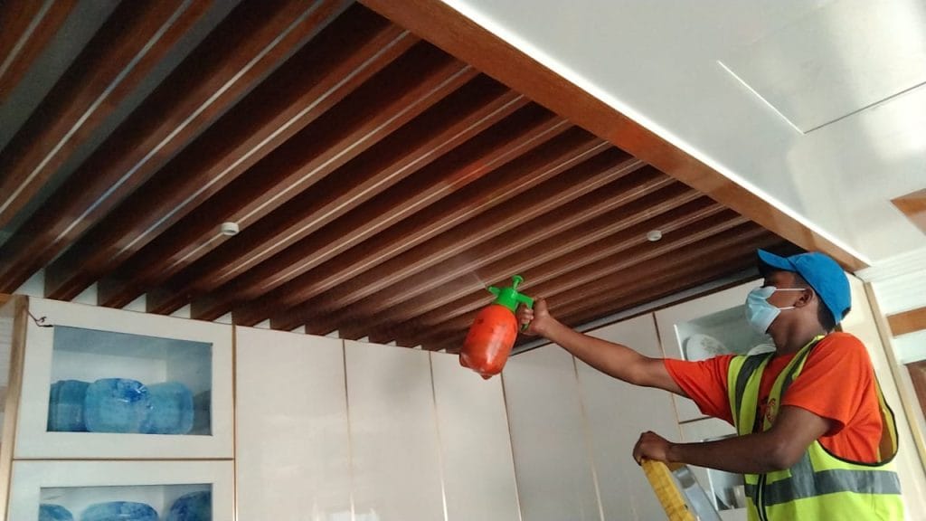 termite control in Bangladesh