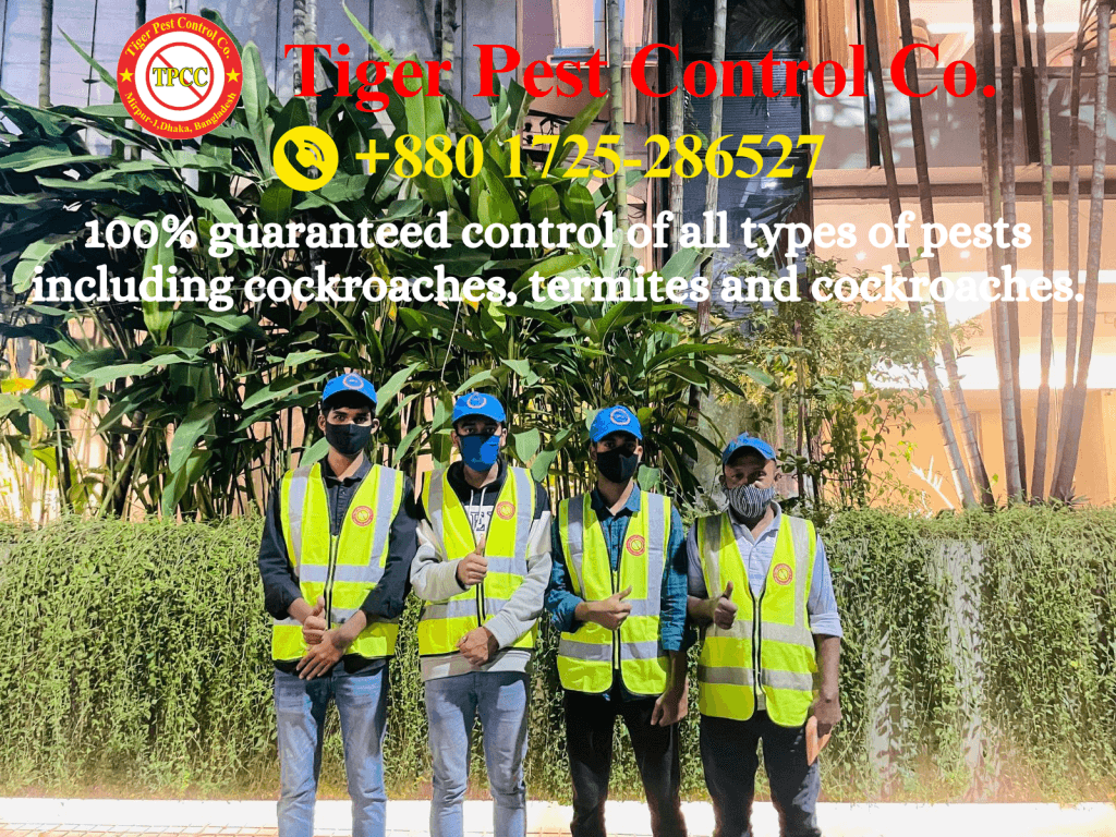 Pest Control Mirpur