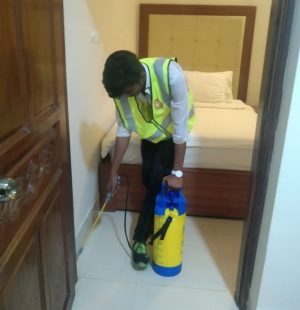 bedbug control