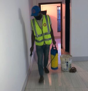 bedbug control service